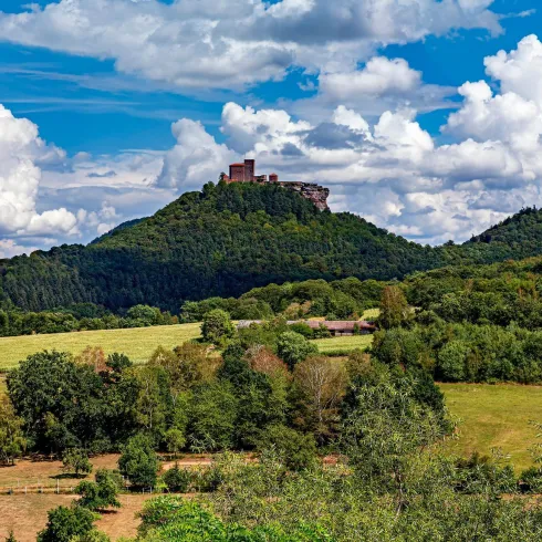 Eine malerische Hügellandschaft mit sanften grünen Wiesen. Auf einem der Hügel steht eine alte Burgruine unter einem strahlend blauen Himmel mit weißen Wolken.