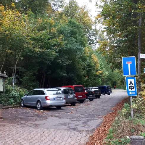 Ein Parkplatz in der Natur mit mehreren parkenden Autos. Umgeben von Bäumen und herbstlichen Farben.