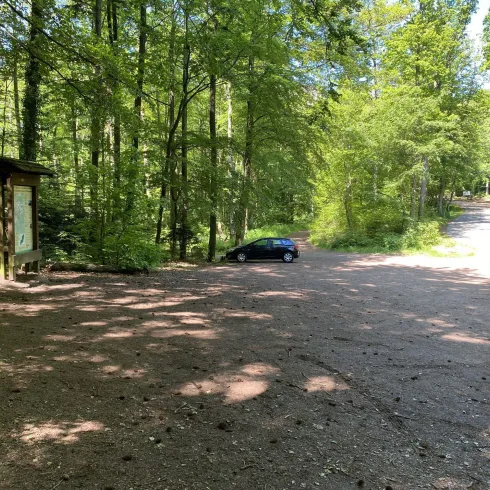 Rehbergparkplatz (© Verein SÜW Annweiler e.V.)