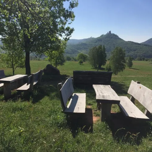 Picknickplatz (© Verein SÜW Annweiler e.V.)