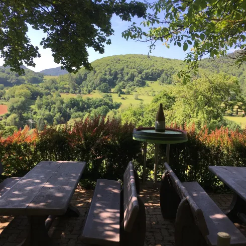 Eine ruhige Aussicht auf grüne Hügel und Bäume. Im Vordergrund stehen Holztische und Bänke unter einem schattigen Baum.