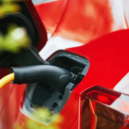 Ein rotes Elektroauto wird gerade aufgeladen. Das Ladekabel ist am Auto angeschlossen und es ist umgeben von grünen Pflanzen.