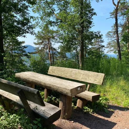 Rastplatz (© Verein SÜW Annweiler e.V.)