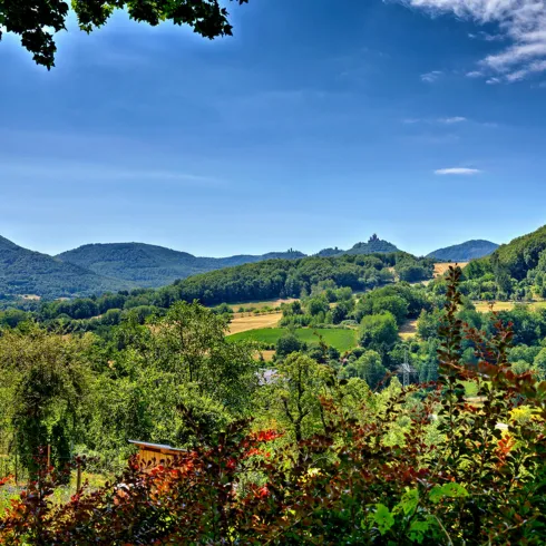 Gräfenhausen Burgenblick (© Wohlrabe Quadronet, Verein SÜW Annweiler e.V.)