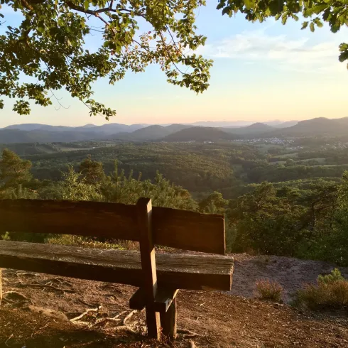 Ausblick Rehberg (© Archiv Verein SÜW Annweiler e.V.)