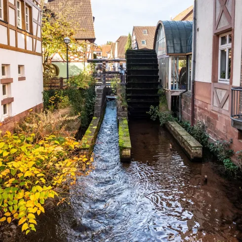 Ein malerischer Wasserlauf mit einer alten Mühle und umgebenden Gebäuden. Der Platz ist grün und einladend, mit bunten Pflanzen am Ufer.