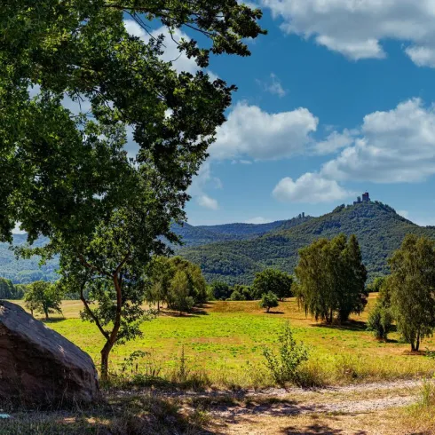 Eine malerische Landschaft mit grünen Wiesen und sanften Hügeln im Hintergrund. Ein großer Baum und ein Stein befinden sich im Vordergrund.