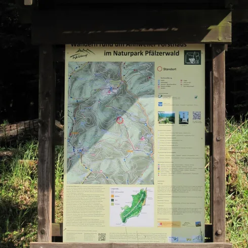 Eine Informationsstele im Naturpark Pfälzerwald. Die Stele zeigt eine Karte und wichtige Informationen über den Park.