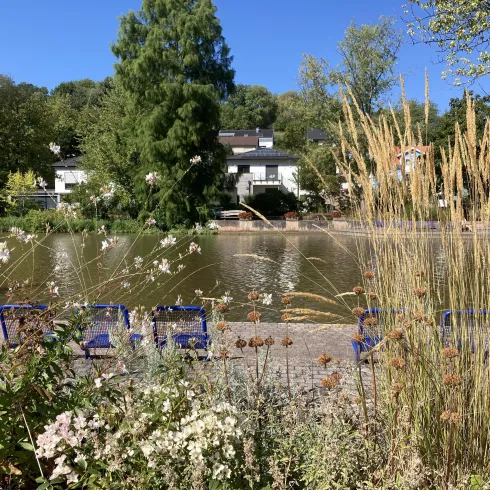 Schwanenweiher Markwardanlage (© Verein SÜW Annweiler e.V.)