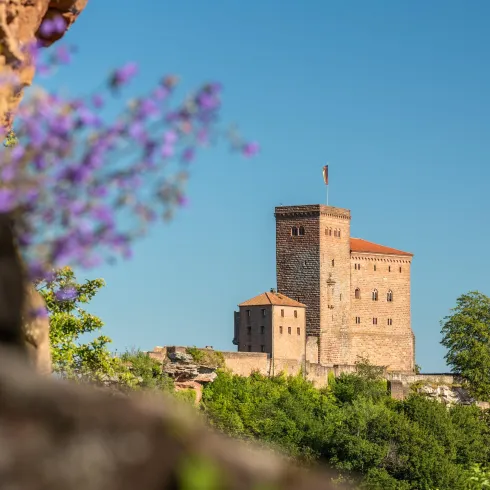 Burg Trifels (© Verein SÜW Annweiler e.V., Dominik Ketz)