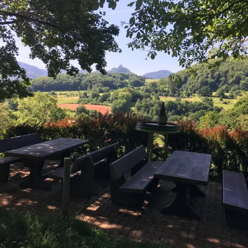 Picknickplatz (© Verein SÜW Annweiler am Trifels e.V.)