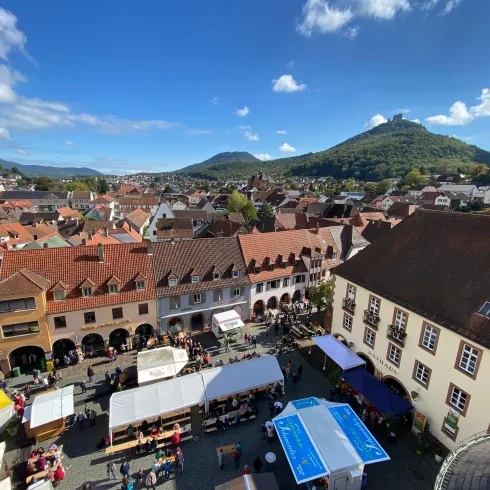 Blick vom Kirchturm auf das Festgelände auf dem Rathausplatz. Mittig im Bild Bierbankgarnituren und Festzelte sowie Marktstände und Arkaden der Geschäftshäuser. Rechts das städtische Rathaus mit vielen Fenstern und im Hintergrund thront die Burg Trifels auf dem Sonnenberg.