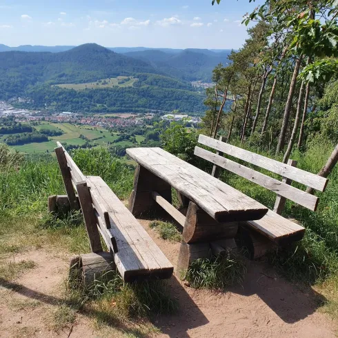Picknickplatz Hohenberg (© Verein SÜW Annweiler e.V.)