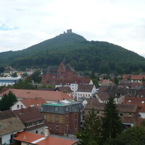Eine malerische Stadt mit roten Dächern und grünen Hügeln. Im Hintergrund ist eine Burg auf einem Hügel sichtbar.