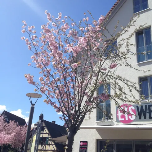 Eiswerk (© Verein SÜW Annweiler e.V.)