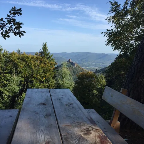 Picknickplatz am Rehbergturm (© Verein SÜW Annweiler am Trifels e.V.)