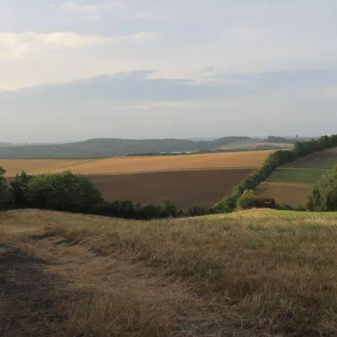 Eine malerische Landschaft mit sanften Hügeln und weiten Feldern. Der Himmel ist bewölkt und verleiht der Szenerie eine ruhige Stimmung.