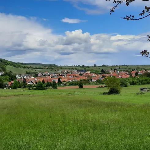 Eine malerische Landschaft mit grünen Wiesen und einem kleinen Dorf im Hintergrund. Der Himmel ist blau mit einigen Wolken.