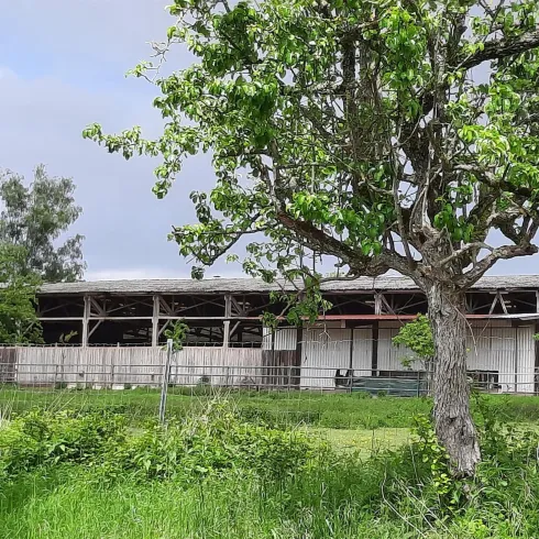 Heidebrunnerhof (© Archiv TI Bad Bergzabern)