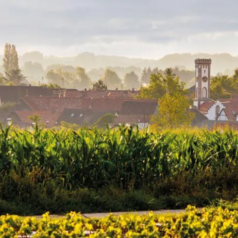 Eine ländliche Szene mit grünen Feldern und einem kleinen Dorf im Hintergrund. Der Himmel ist bewölkt, und die Landschaft wirkt ruhig und friedlich.