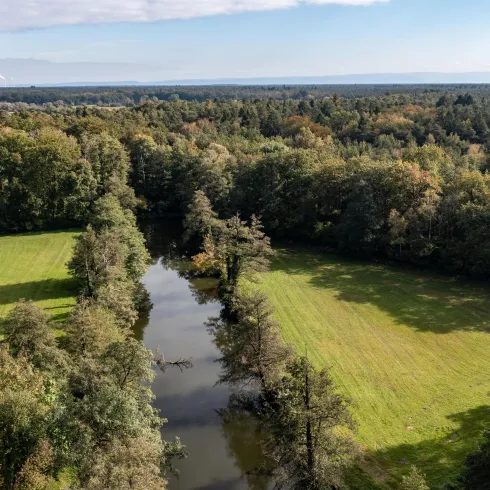 Eine malerische Landschaft mit einem Fluss, der durch einen Wald fließt. Die Wiese ist grün und umgeben von Bäumen.