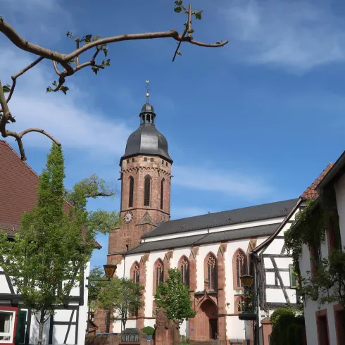 Eine malerische Altstadt mit Fachwerkhäusern und einer beeindruckenden Kirchturm-Silhouette. Der Himmel ist blau und es gibt Bäume im Vordergrund.