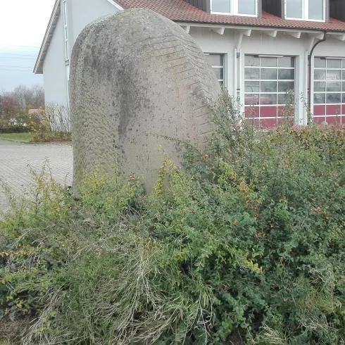 Ein großer Stein ist teilweise von Gras und Büschen umgeben. Im Hintergrund ist ein Gebäude mit Fenstern zu sehen.