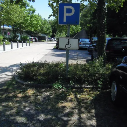 Ein Parkplatzschild mit dem P-Symbol steht an einer ruhigen Straße. Im Hintergrund sind Bäume und geparkte Autos zu sehen.
