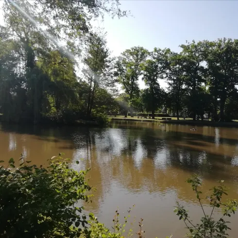 Ein ruhiger Teich umgeben von üppigem Grün und hohen Bäumen. Die Sonne scheint und reflektiert sich im Wasser.