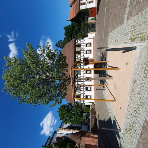 Friedenslinde 2.0