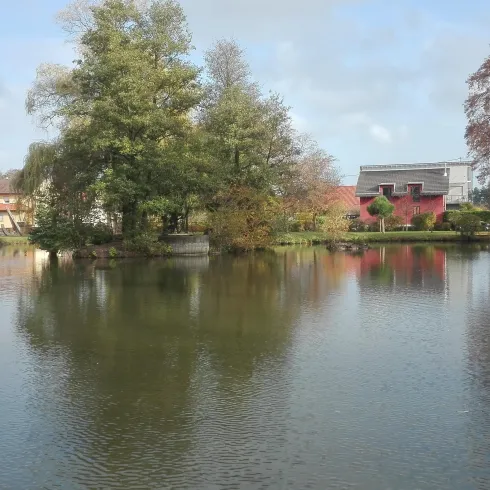 Ein ruhiger Teich umgeben von Bäumen und buntem Laub. Im Hintergrund sind einige Gebäude sichtbar.