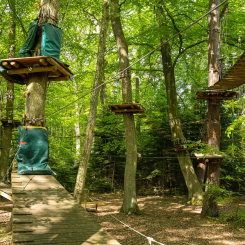 POI_Kandel_Fun_Forest-6 POI_Kandel_Fun_Forest-6