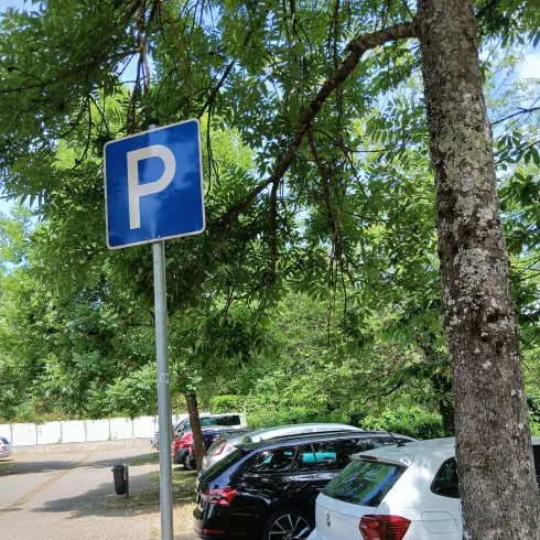 Ein Parkplatz mit mehreren parkenden Autos und einem Parkplatzschild. Im Hintergrund sind Bäume zu sehen.