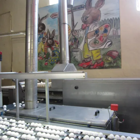 Adamshof Kandel Ostereierschaufärben (© Südpfalz Tourismus Kandel e.V.)