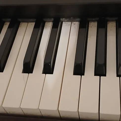 Pianotastatur
