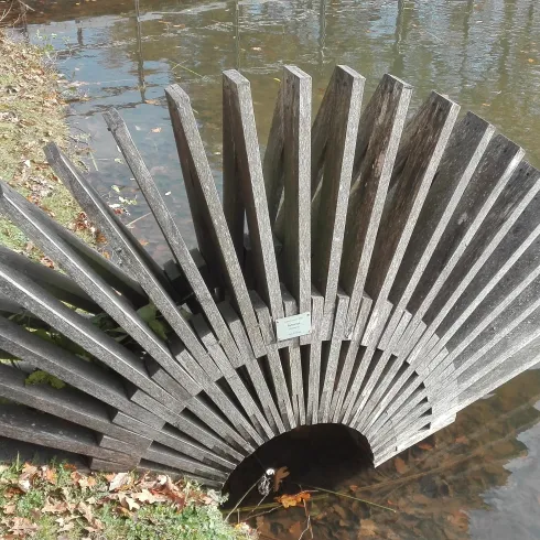 Reflection - Spiegelung, Trudi Entwistle