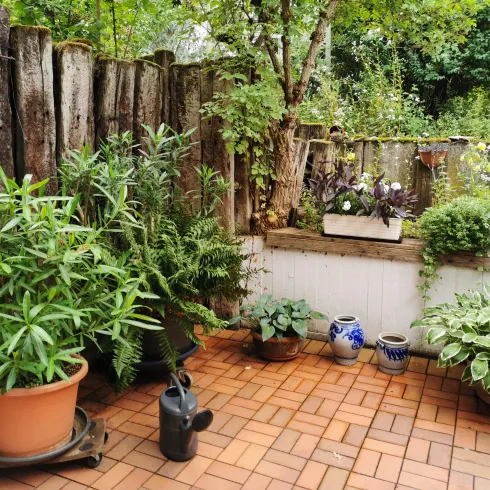 Ein kleiner Garten mit verschiedenen Pflanzen in Töpfen. Der Boden ist mit Terrakottafliesen bedeckt und im Hintergrund sind Holzwände sichtbar.