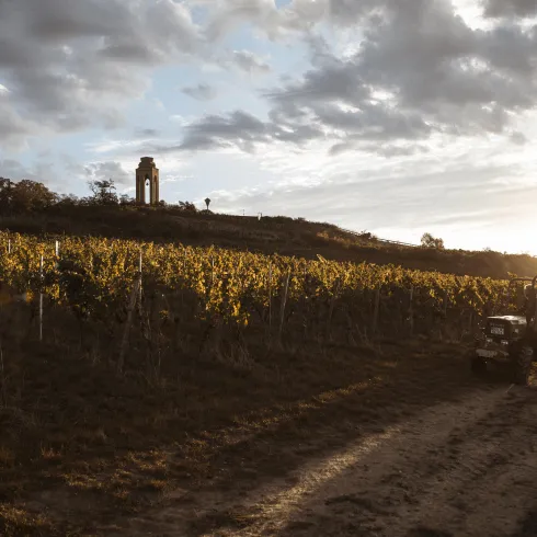 Weinlage Schwarzer Herrgott