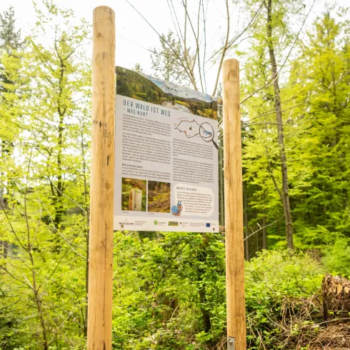 Ein Informationsschild im Wald, umgeben von grünen Bäumen. Das Schild enthält Text und Bilder über einen Wanderweg.