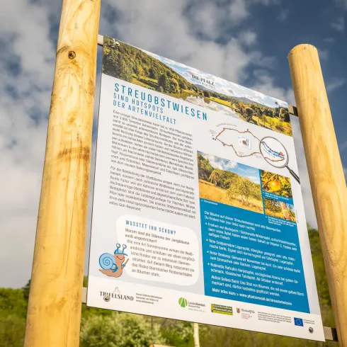 Ein Informationsschild über Streuobstwiesen in einer grünen Landschaft. Es enthält Text und Grafiken zur Artenvielfalt und zur Bedeutung dieser Flächen.