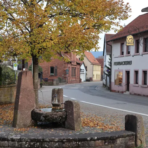 Brunnen am Lindenplatz (© Verein SÜW Annweiler e.V.)