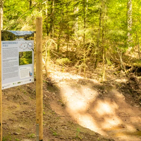 Eine Informationstafel im Wald steht auf einem schmalen, erdigen Weg. Im Hintergrund sind grüne Bäume und sonnige Lichtstrahlen zu sehen.