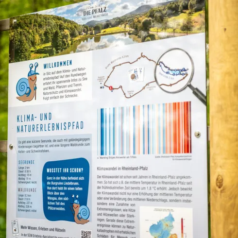 Ein Informationsschild über den Klima- und Naturerlebnispfad in der Pfalz. Es zeigt eine Karte, Grafiken und Informationen über die Umgebung.