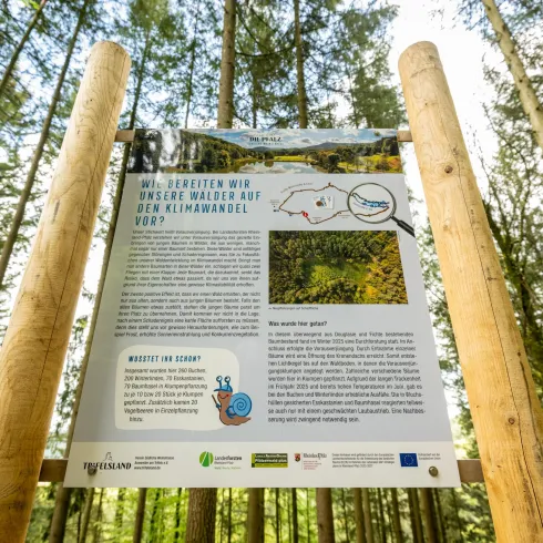 Ein Informationstafel im Wald, die über Maßnahmen gegen den Klimawandel informiert. Der Hintergrund zeigt hohe Bäume und grünes Laub.