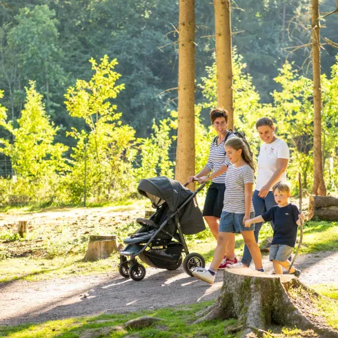 Eine Familie spaziert im Wald. Zwei Kinder gehen neben einem Kinderwagen, während die Eltern sie begleiten.