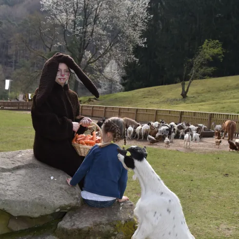 Ein Kind sitzt auf einem Stein und schaut zu einer Person im Hasenkostüm, die Futter hält. Im Hintergrund sind Ziegen und eine grüne Landschaft sichtbar.