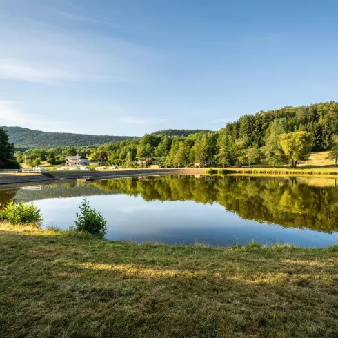 Ein ruhiger See, umgeben von grünen Wäldern und Wiesen. Die klare Reflexion des Himmels und der Landschaft im Wasser schafft eine friedliche Atmosphäre.