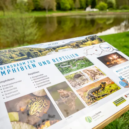 Ein Informationsschild über Lebensräume für Amphibien und Reptilien steht an einem Gewässer. Im Hintergrund sind Bäume und eine grüne Wiese zu sehen.