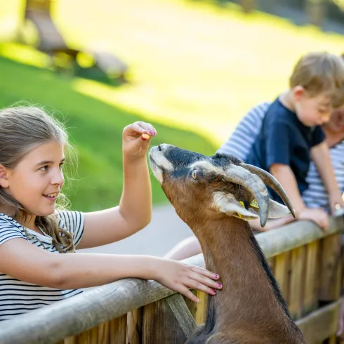 Ein Mädchen füttert eine Ziege an einem Holzzaun. Im Hintergrund sind ein Junge und eine Erwachsene zu sehen.