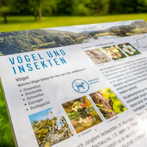 Ein Informationsschild über Vögel und Insekten in einer grünen Umgebung. Es zeigt Fotos und kurze Beschreibungen verschiedener Vogelarten.